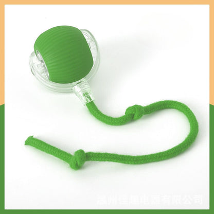Interactive Play Ball With Tail For Cats
